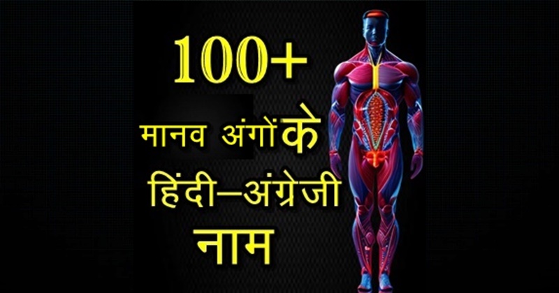 Parts Of Body Name In Hindi And English